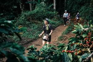 BIB: 
                            <button type="button" onclick="openModal(25842709)" class="btn btn-primary btn-sm float-right btn-popup" data-toggle="modal" data-target=".modal-high-quality">
                        <i class="fas fa-shopping-cart"></i> Add to Cart
                    </button>
                                            <button type="button" onclick="isThisMe(25842709, true)" class="btn btn-success btn-sm float-right btn-popup btn-isme hidden" data-toggle="tooltip" data-placement="bottom" title="นี่คือรูปของคุณใช่ไหม คลิกที่นี่เพื่อเอาเข้าอัลบั้ม">
                        <i class="fas fa-plus"></i> Add to album
                    </button>
                    <button type="button" onclick="isThisMe(25842709, false)" class="btn btn-warning btn-sm float-right btn-popup btn-isnotme hidden">
                        <i class="fas fa-ban"></i> Remove from album
                    </button>